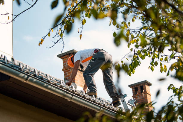 Best Best Roofing Contractors  in Bushyhead, OK