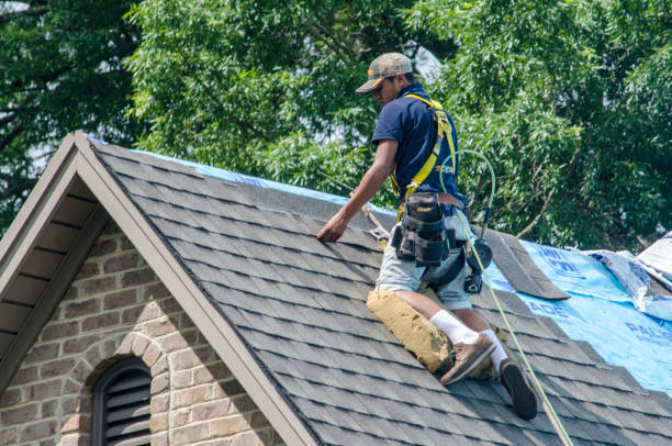 Best Shingle Roofing Installation  in Bushyhead, OK